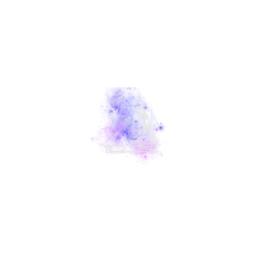 www.miticoastral.com